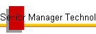 Senior Manager Technology Overview